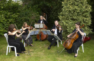 strings1.jpg